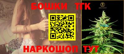 соль ск Славгород